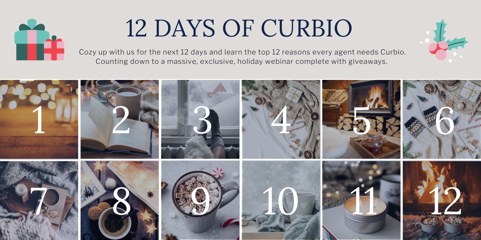 12 Days of Curbio  Email Banner